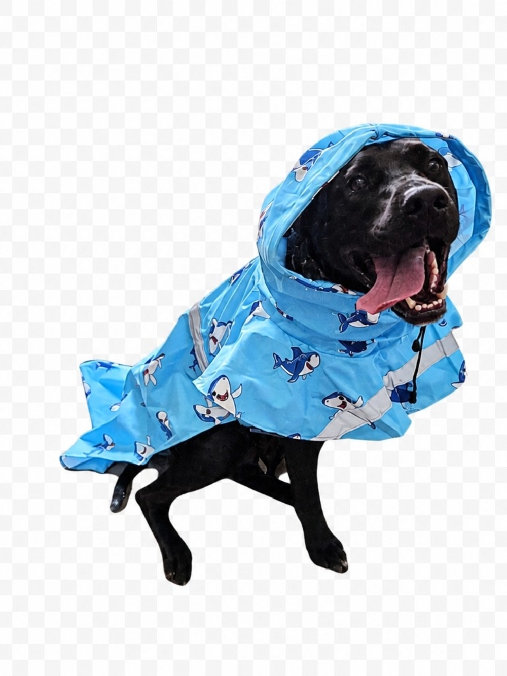 Blue Shark-Print Dog Raincoat with Hood